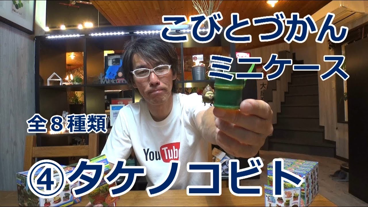 こびとづかんミニケース④タケノコビト - YouTube