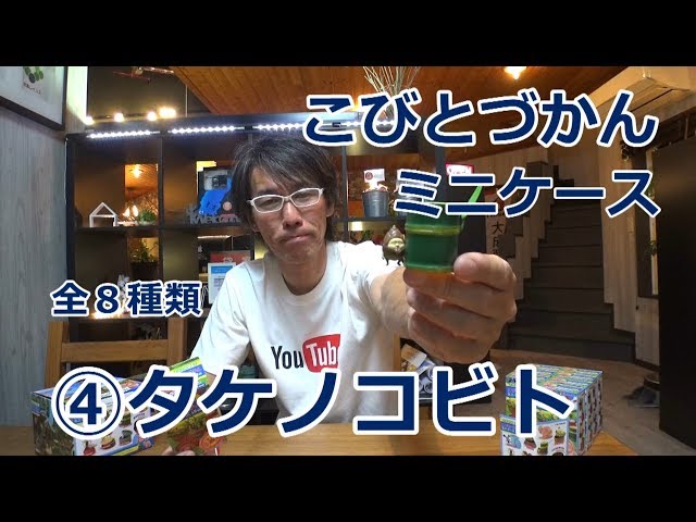 こびとづかんミニケース④タケノコビト - YouTube