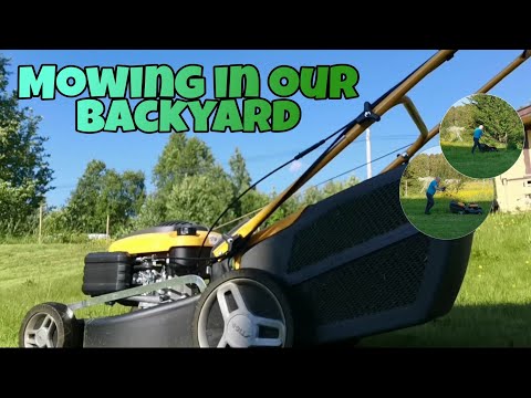 Mowing in our backyard | backyard makeover. Mowing in our backyard | backyard makeover.