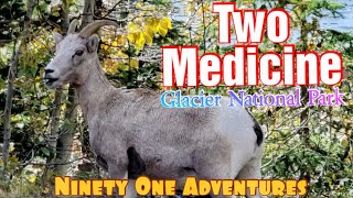 Two Medicine Campground | Glacier National Park by Ninety One Adventures 142 views 3 months ago 9 minutes, 22 seconds