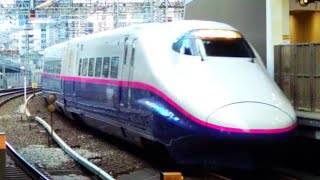 144B E2系1000番台幹ニシJ75編成+E3系2000番台幹カタL66編成 東京入線シーン
