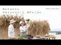 高山なおみさん「今あるものでつくる、神戸のごはん」【FARM to FORK 2022】