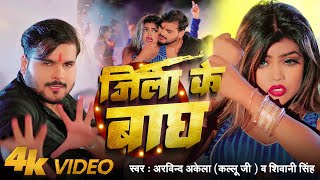 4K Video Akela Kallu जल क बघ Singh Jila Ke Baagh Feat Vannudgreat