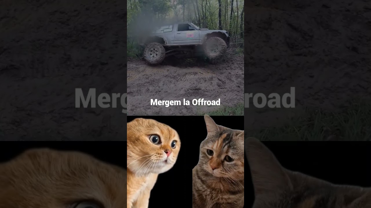 Ce Faceti Maine? #offroad4x4 #offroad #noroi #crash #masina #offroadromania #adventure