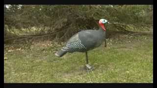 Jake Decoy on a String, Non Motorized Moving Turkey Decoy