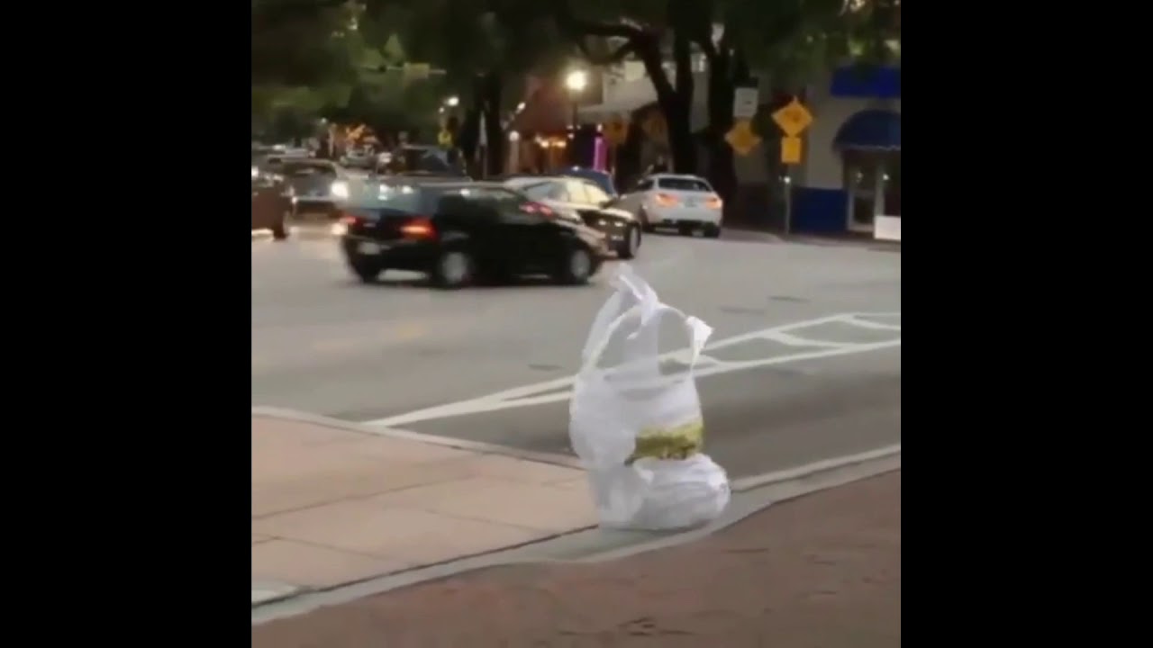 Plastic bag walking on street Top Most Videos YouTube
