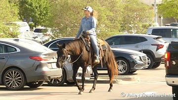 Hot Sparks At Midnite - beautiful sweet BLACK mare riding in town! - ValleyViewRanch.net