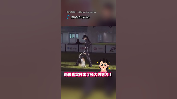 【台灣之光】台選手比「與狗共舞」 人狗默契配合奪第一！｜舞蹈｜狗｜默契｜比賽｜DSD