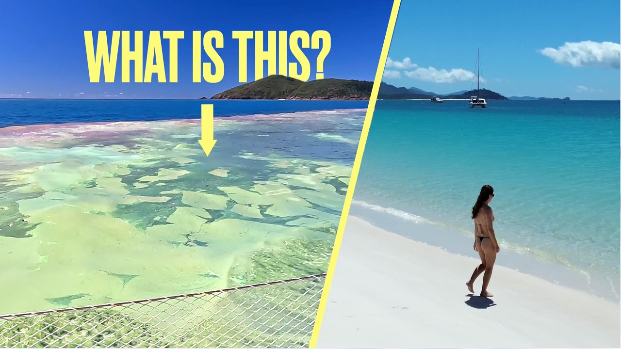Whitehaven beach // WHITSUNDAY ISLAND AUSTRALIA