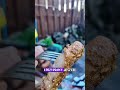 Z Mariolką odpalamy grilla i wrzucamy na ruszt wędliny ze sklepu Piotra 🔥 Sprawdzamy smak, skład i