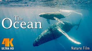 The Ocean 4K  A Relaxing Film for Ambient TV in 4K Ultra HD  Relaxing Music