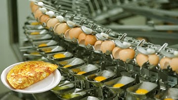 Omelette Factory Process 🍳 | From Eggs to Perfection