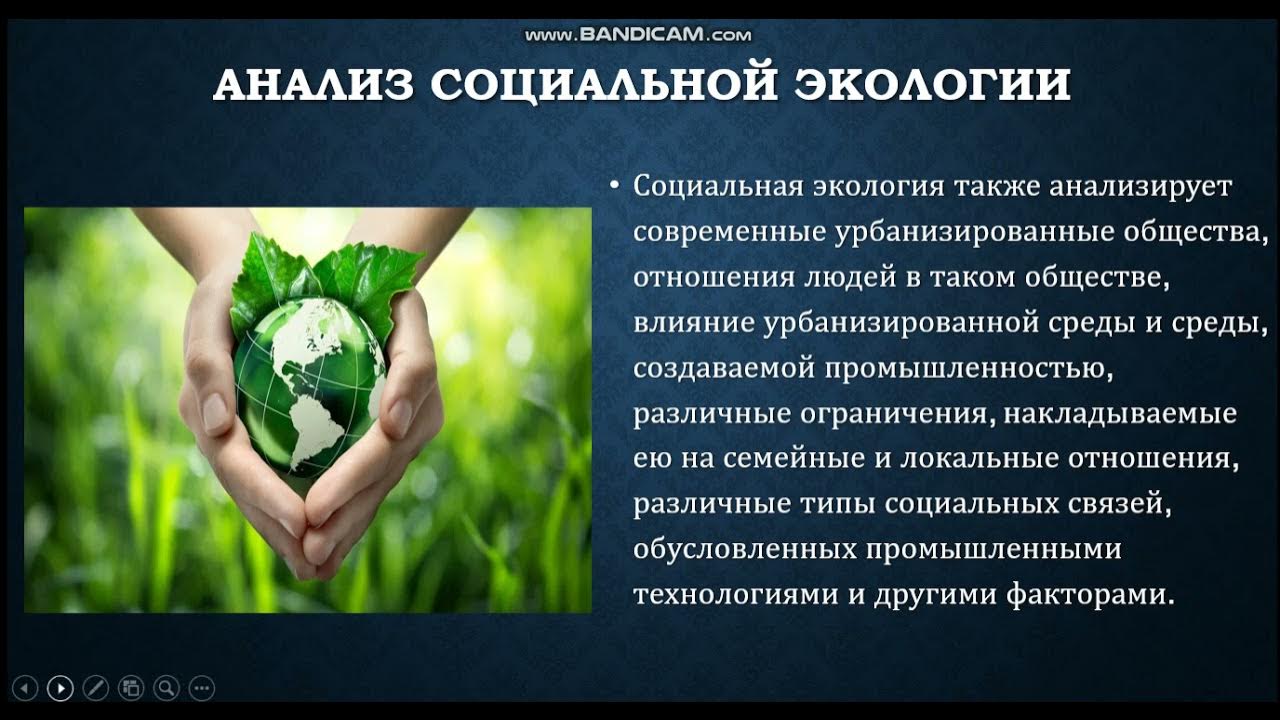 Социальная экология. Лекции по экологии. Защита окружающей среды. Экологическая социальная сеть. Социальная экология.