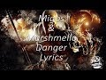 Migos & Marshmello - Danger (Lyrics)