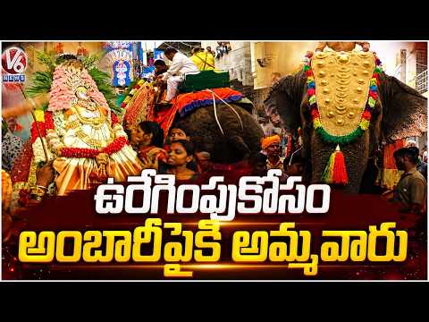 Simhavahini Mahankali Ammavaru on Ambari for The procession | V6 News - V6NEWSTELUGU