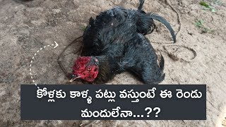 The chickens are getting leg ulcers, don't they need all this medicine? No, no...