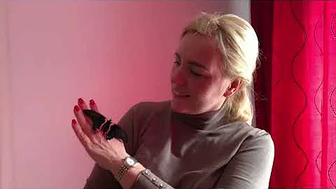 Мне подарили бабочек! 🦋 | Ферма Бабочек 🍊