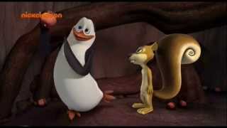 This Close! [Penguins of Madagascar]-(HD)