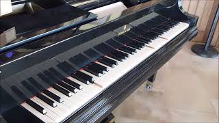 Wedding Of The Painted Doll - Pauline Alpert