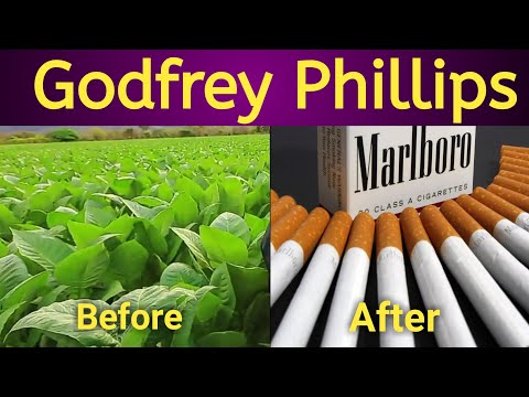 Fundamental Analysis of Godfrey Phillips India Ltd. 2021 // सिगरेट कैसे बनता है // in Hindi //