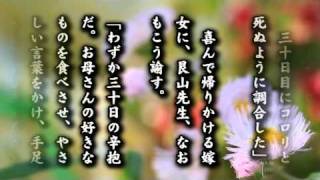朗読DVD『光に向かって100の花束』：高森顕徹・鈴木弘子（１万年堂出版）