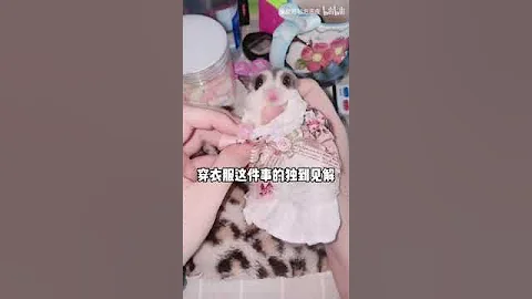 长得太萌就会成为女人手中的玩物 - 天天要闻