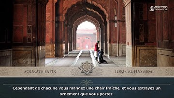 سورة فاطر إدريس الهاشمي