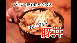 イベリコ豚の豚丼