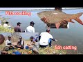 Fishing       fish catting and cooking   fish cooking  fishing