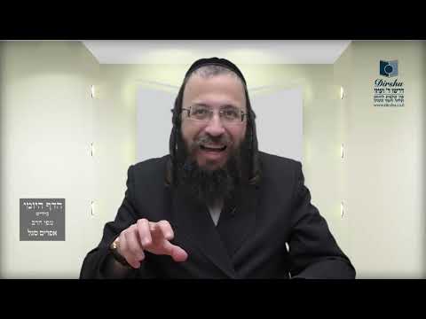 הדף היומי באידיש מסכת מנחות דף יג