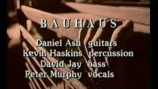 Watch Bauhaus Sanity Assassin video