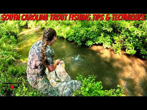 How to Catch More Trout in South Carolina’s Upstate