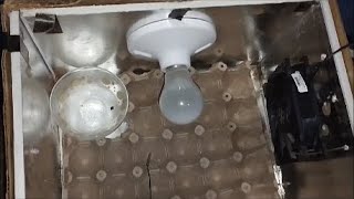 Cómo Se Hace Una Incubadora Casera Muy Fácil