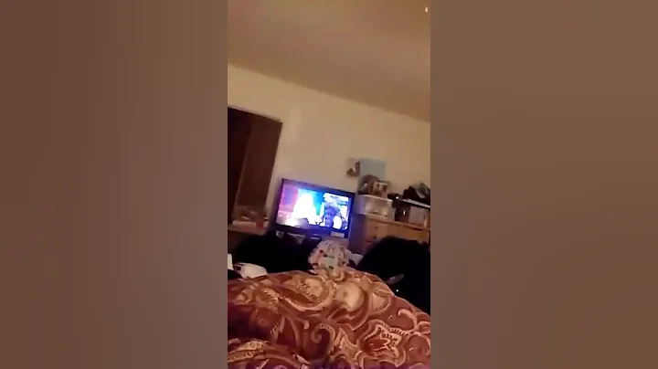 Small Screen TV