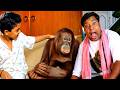 Sahasa Baaludu Vichitra Kothi Telugu Movie Scenes | Vijay Shanthi, Sarath Babu | iDream