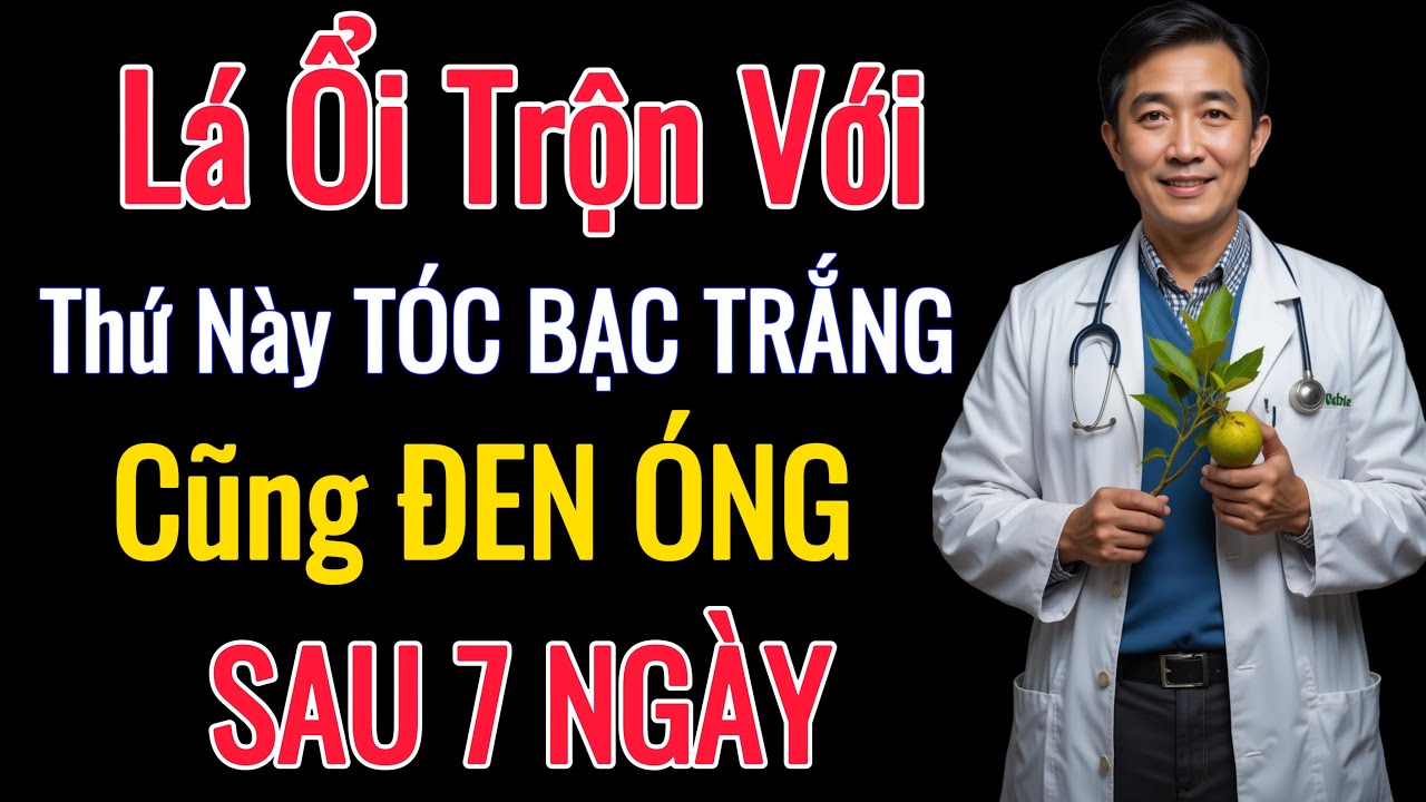 Cách Trị Tóc Bạc Sớm Bằng Lá Ổi – Giúp Tóc Đen, Chắc Khỏe Và An Toàn Sau 7 Ngày!