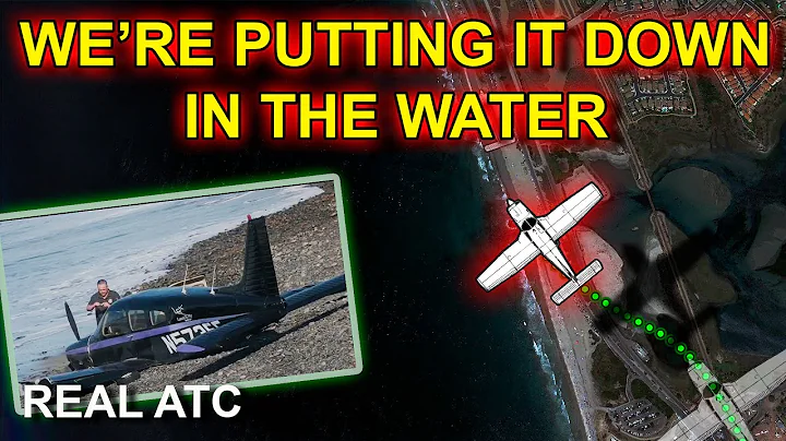 Airplane LANDS BELLY on the beach after losing Engine Power. REAL ATC
