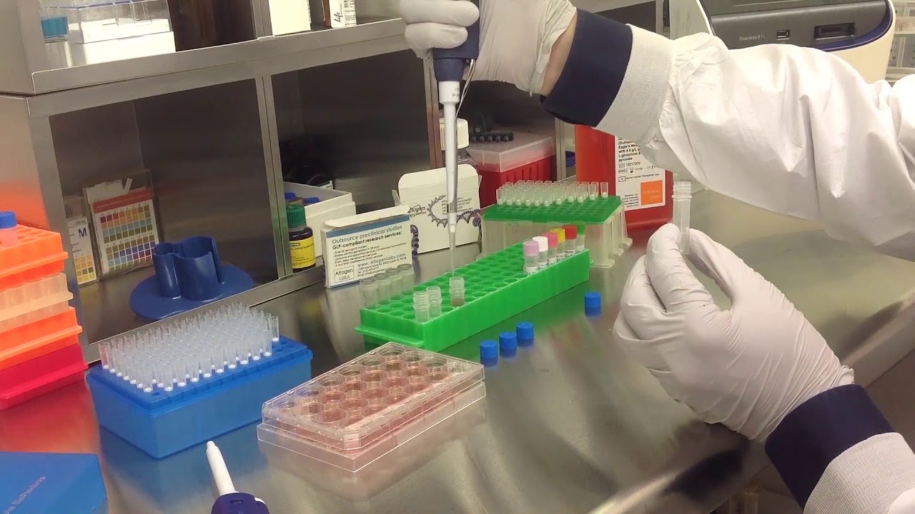 Altogen Biosystems In Vitro T98G Transfection Tutorial - YouTube