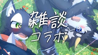 【コラボ】もふシャチともふドラゴンのもふもふ雑談コラボ!!!!!!　いっぱいモフモフしていくぜ!!【雑談/ケモノ系Vtuber】