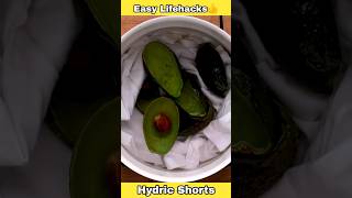 Useful Easy Life Hacks