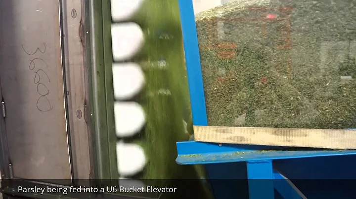 Parsley Testing in a U6 Bucket Elevator