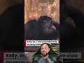 Zoológico de Belo Horizonte registra morte de animais após anestesia #biologohenrique #biologo