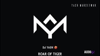 ROAR OF TIGER🎶 DJ YASH❤️‍🔥 AUDIO SONG🎼