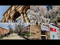 My friend lost her bag at Sheffield😱💥 | UK TRAVEL VLOG🇬🇧 watch in HD