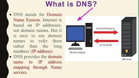 XII Computer Applications|DNS-Domain Name System|Chapter 12|Shyni Pradeep
