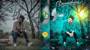 Snapseed Green And Bird Effect Photo Editing Tutorial || Snapseed Background Colour Change Tricks