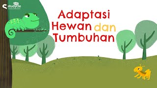 Download Lagu Bagaimana Makhluk Hidup Beradaptasi? | Adaptasi Hewan dan Tumbuhan | Belajar Sains | Video Edukasi MP3