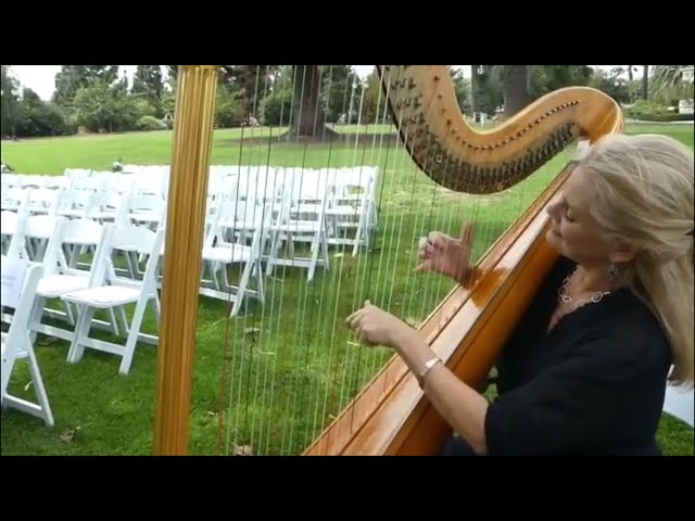 OMG: Classical Wedding Harpist SoCal 