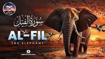 Surat Al-Fil (The Elephant) | سورة الفيل @Miraclesofquran123