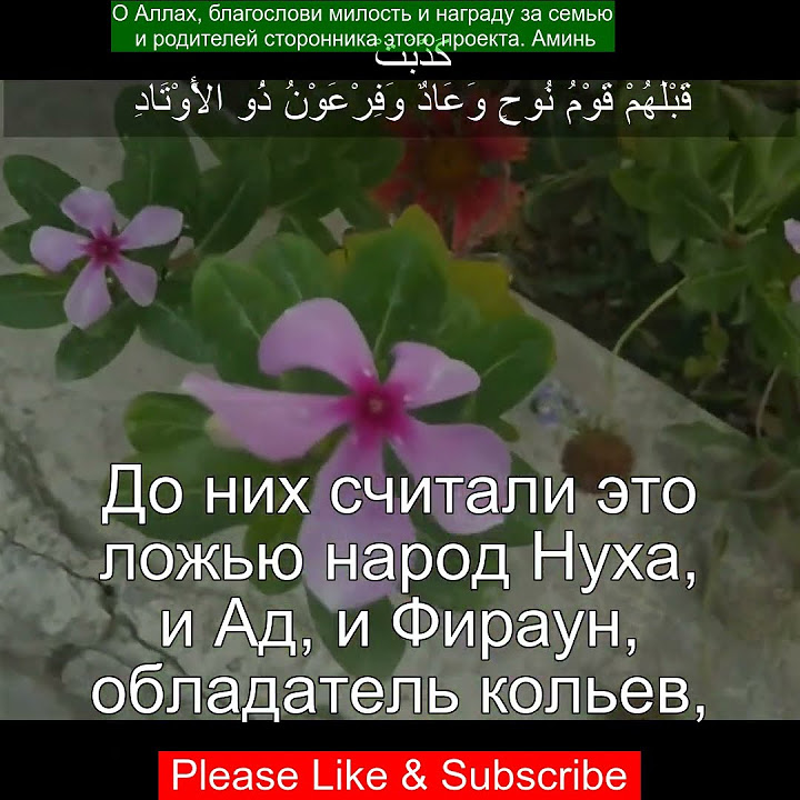 Сура Сад | 38:12 | Чтение Корана с русским переводом | Коран с ...
